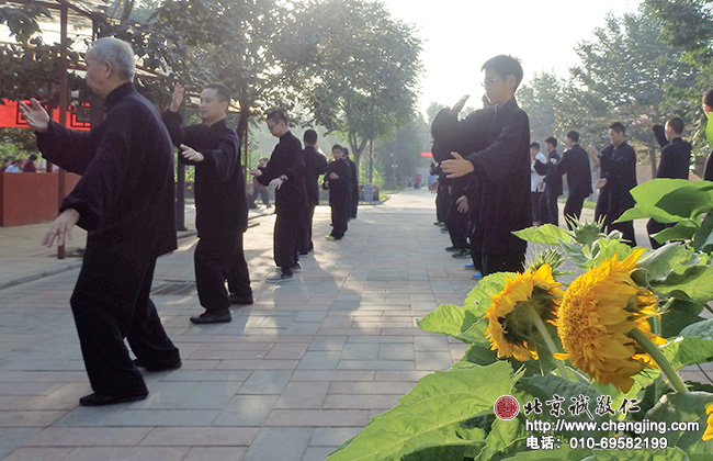 花前樹下 太極晨練