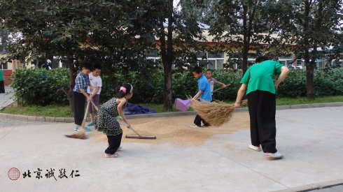 小學(xué)員參加勞動(dòng)，體會(huì)農(nóng)民伯伯的辛勞和一餐一粟來之不易。