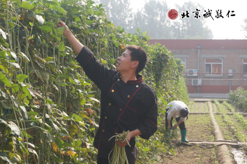 廚房的老師為學(xué)員們采摘小院的有機(jī)蔬菜