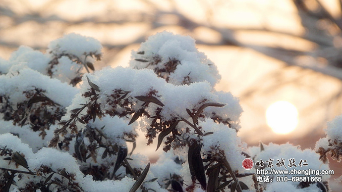 伴著一場瑞雪，北京誠敬仁2015年寒假德藝書法培訓(xùn)拉開了帷幕。