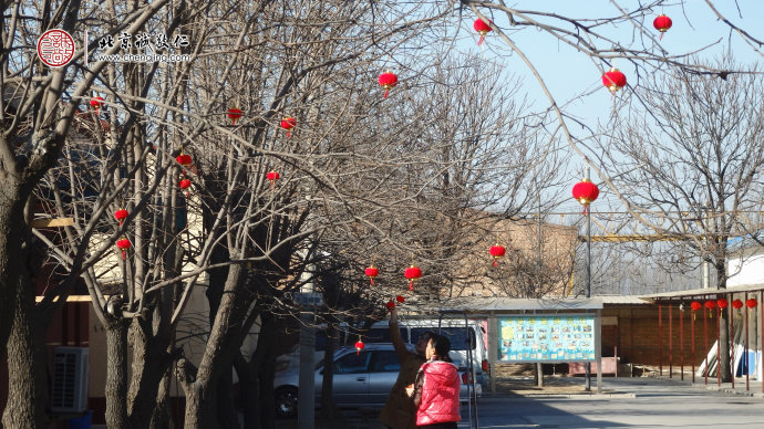 像是滿天的繁星，火紅的燈籠在陽(yáng)光中熠熠生輝。