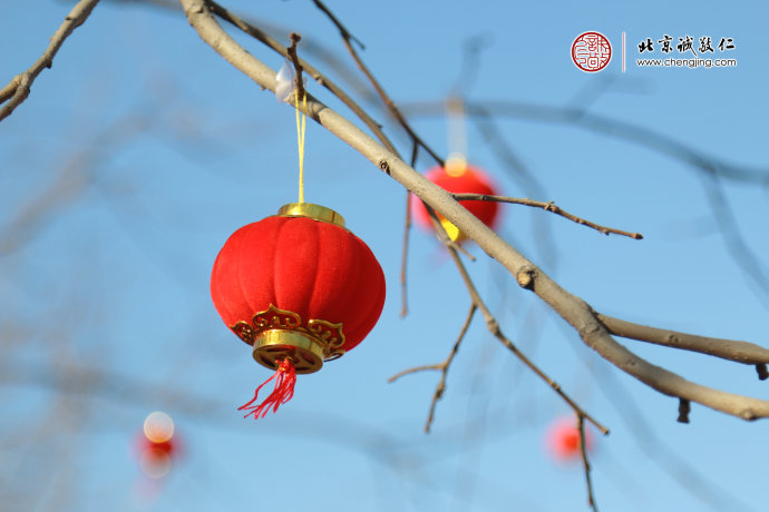 紅紅的燈籠掛滿枝頭，吉祥漫天飛舞