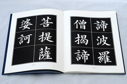 楊老師《心經》楷書字帖