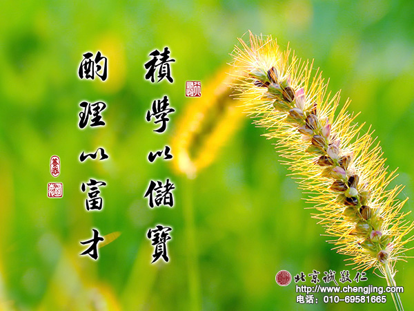 大方廣桌面壁紙：積學(xué)以儲寶，酌理以富才