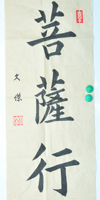 傅先生書法學習相冊:菩薩行