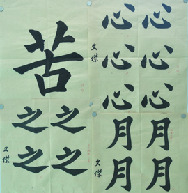 傅先生書法學習相冊