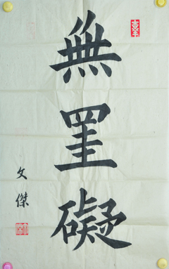 傅先生書法學習相冊:無掛礙