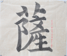 張同學書法學習相冊:薩